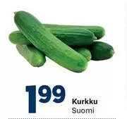 Kurkku