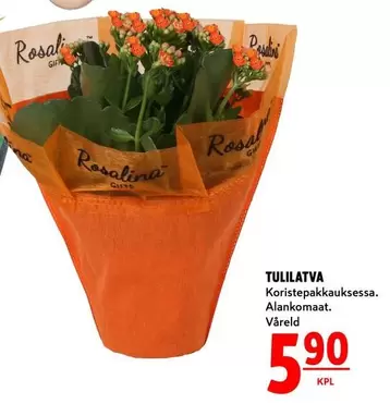 TULILATVA