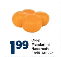 Mandariini Nadorcott