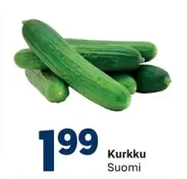 Kurkku