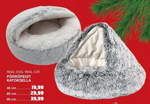 PÖRRÖPEDIT KATOKSELLA