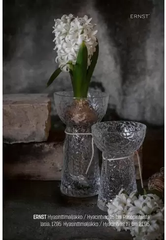 Hyasintimasakko/Hyacintvicts