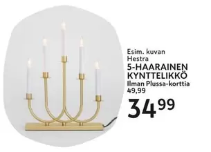 5-HAARAINEN KYNTTELIKKÖ