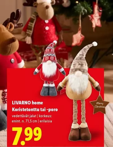 Koristetonttu tai-poro