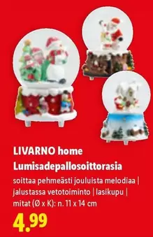 Lumisadepallosoittorasia