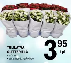 TULILATVA GLITTERILLÄ