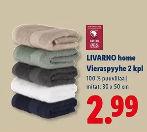 Vieraspyyhe 2 kpl