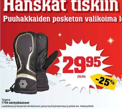 7794 talvityökäsineet