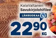 Savukirjolohifilee