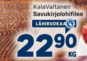Savukirjolohifilee