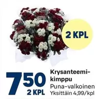 Krysanteemikimppu
