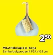 rikkalapio ja -harja