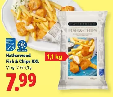 MSC - Fish & Chips XXL