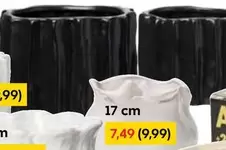 Keraaminen Kasvi Potti