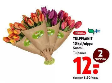 TULPPAANIT