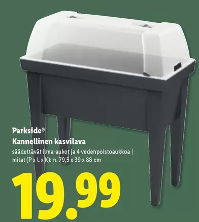 Kannellinen kasvilava