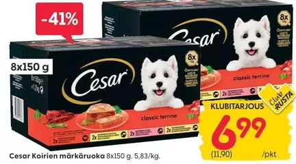 Koirien märkäruoka