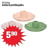 Kukka kynttilänjalka
