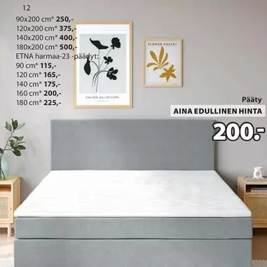 ETNA harmaa-23-päädyt