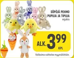 SÖPÖJÄ PEHMO PUPUJA JA TIPUJA