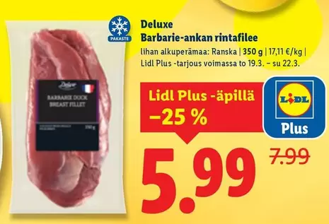 Barbarie-ankan rintafilee