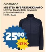 MIESTEN HYBRIDITAKKI