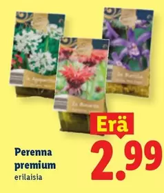 Perenna premium