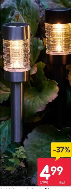 Solar garden lights