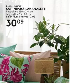 SATIINIPUSSILAKANANSETTI