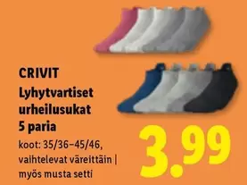 Lyhytvartiset urheilusukat