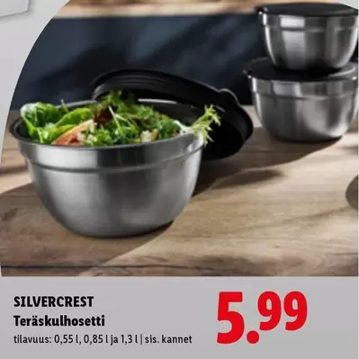 Teräskulhosetti