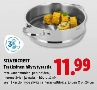 Teräksinen höyrytysastia