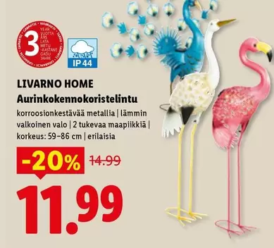 Aurinkokokennokoristelintu