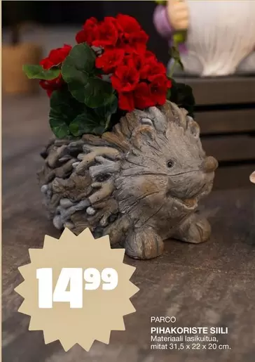 PIHAKORISTE SIILI