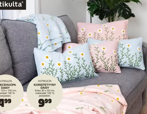 Daisy - KOTIKULTA KORISTETYNY DAISY