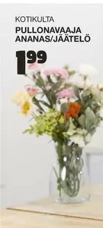 PULLONAVAJA ANANAS/JÄÄTELÖ