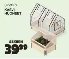 KASVI-HUONEET