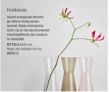 IITTALA Kartio vas