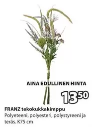 FRANZ tekokukkakimppu