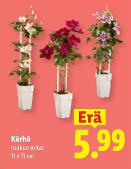 K
k
r
h
o