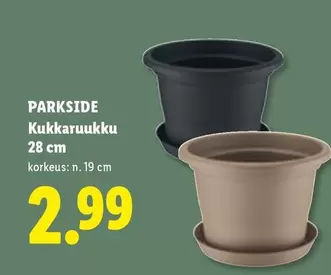 Kukkaruukku