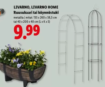 Ruusukaari tai köynnöstuki