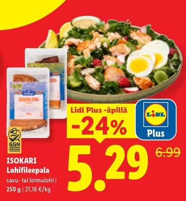 ISOKARI Lohifileepala