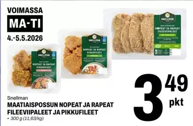 MAATIAISPOSSUN NOPEAT JA RAPEAT FILEEVIIPALEEIT JA PIKKUFILEET
