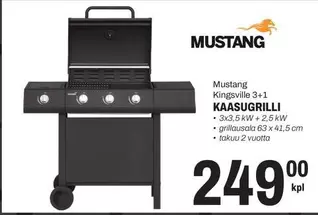 Mustang - Kingsville 3+1 KAASUGRILLI