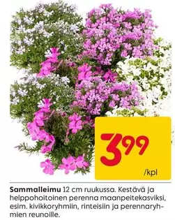 Sammalleimu