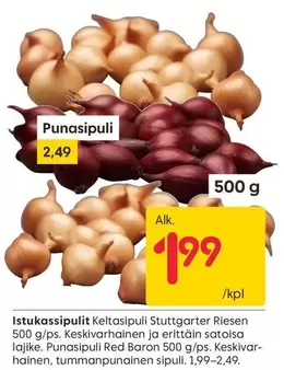 Istukassipulit Keltasipuli, Punasiipuli
