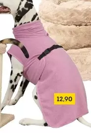 Dog Coat