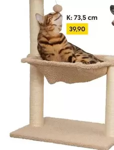 Cat Tree