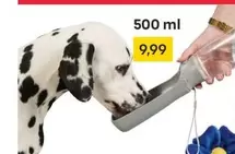 Dog Water Bottle